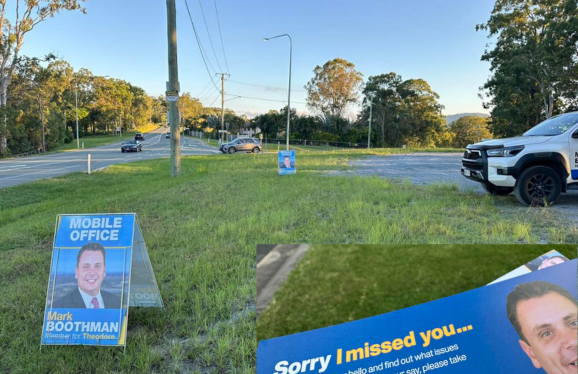 Community Roadside Guanaba